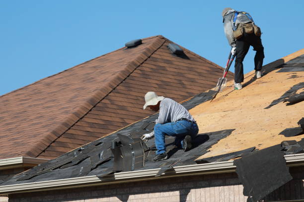 Best Roof Maintenance and Cleaning  in Guttenberg, IA